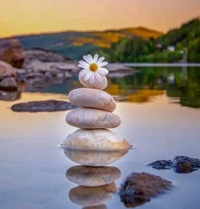 Видео-отзыв